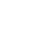 Apple White icon